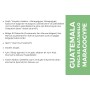 Castro Guatemala Maragogype Kahve 1000 Gr. (4x250Gr)